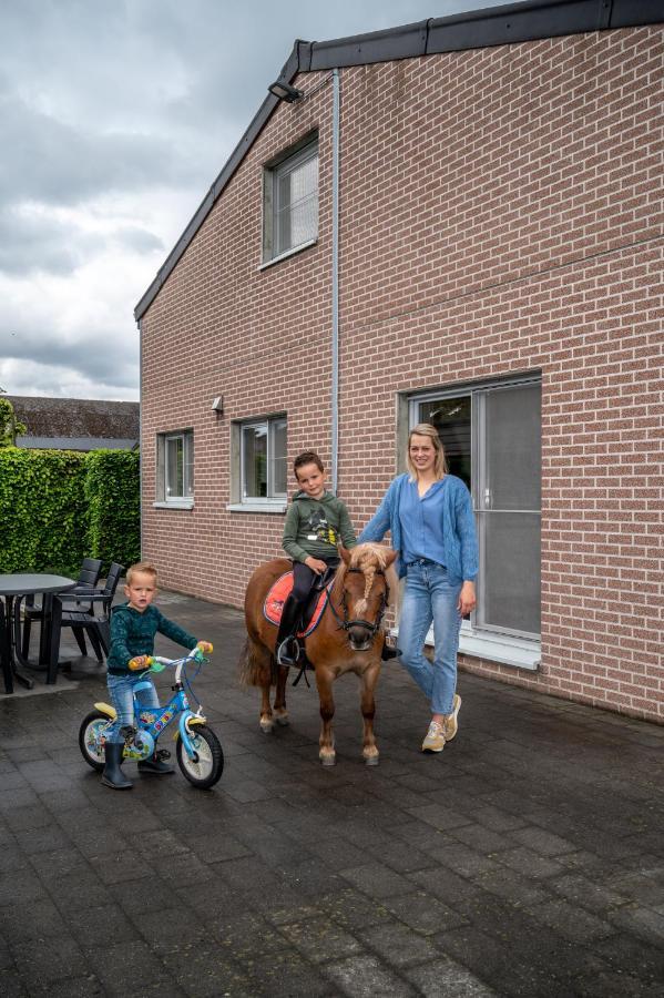 Vila Hoevetoerisme Op 'T Zand NeerNeerpelt Exteriér fotografie